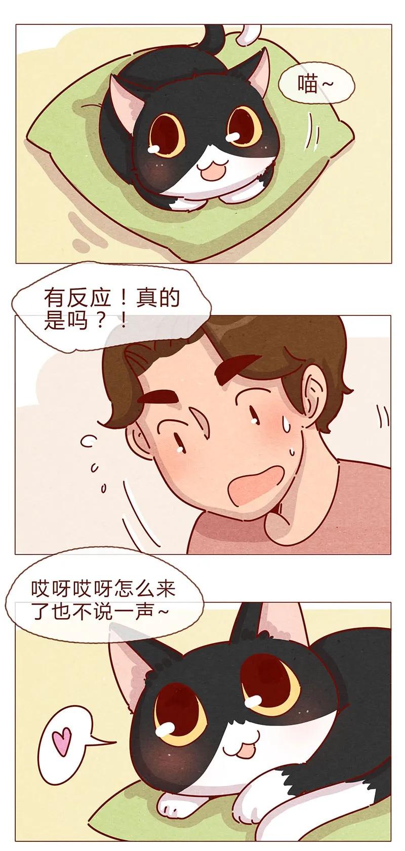 197话你举着个胖次做什么-喂，看见耳朵啦-特雷西胡,漫漫漫画（第6张）