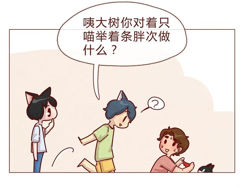 197话你举着个胖次做什么-喂，看见耳朵啦-特雷西胡,漫漫漫画（第12张）
