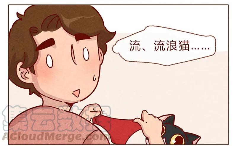 197话你举着个胖次做什么-喂，看见耳朵啦-特雷西胡,漫漫漫画（第11张）