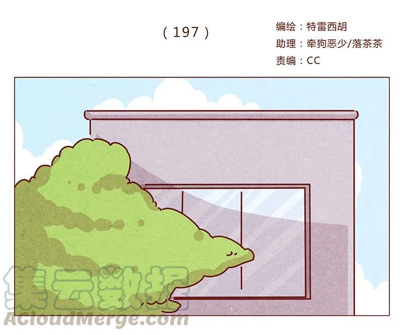 197话你举着个胖次做什么-喂，看见耳朵啦-特雷西胡,漫漫漫画（第1张）