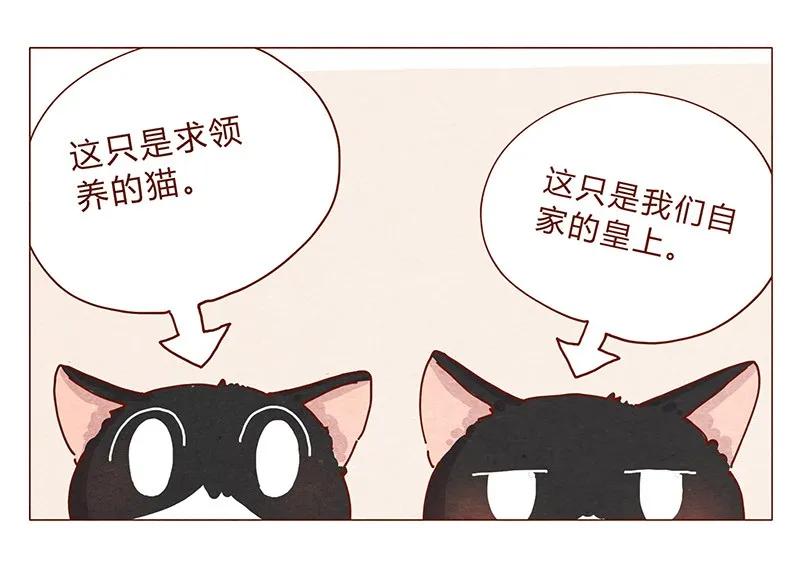 201话领养比买难！-喂，看见耳朵啦-特雷西胡,漫漫漫画（第4张）