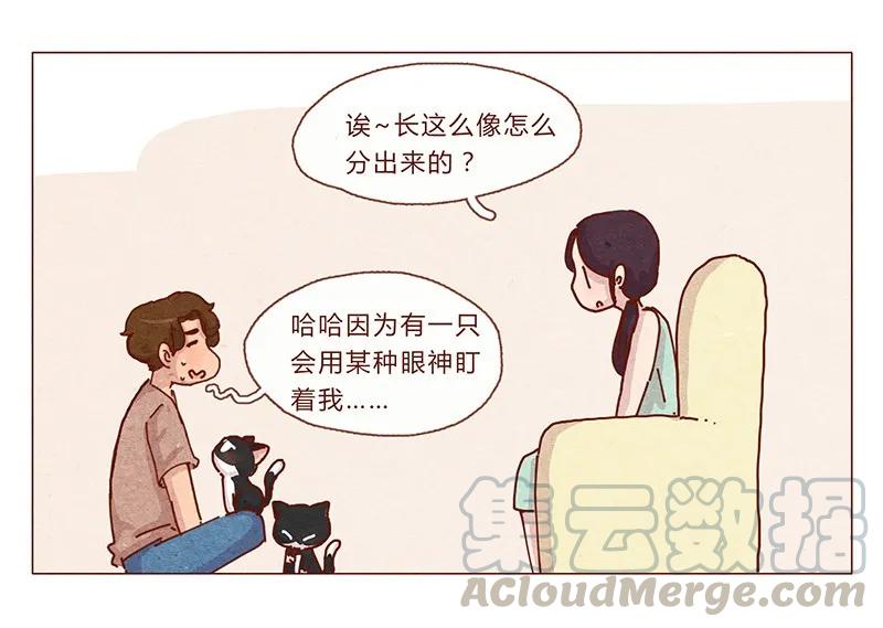 201话领养比买难！-喂，看见耳朵啦-特雷西胡,漫漫漫画（第5张）