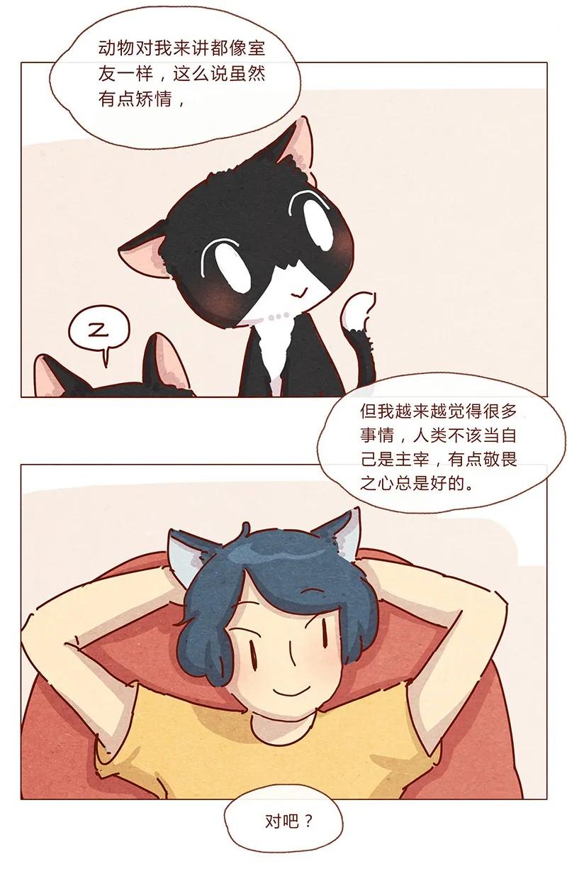 201话领养比买难！-喂，看见耳朵啦-特雷西胡,漫漫漫画（第14张）