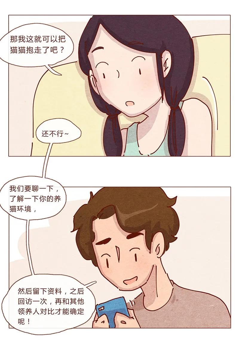 201话领养比买难！-喂，看见耳朵啦-特雷西胡,漫漫漫画（第6张）