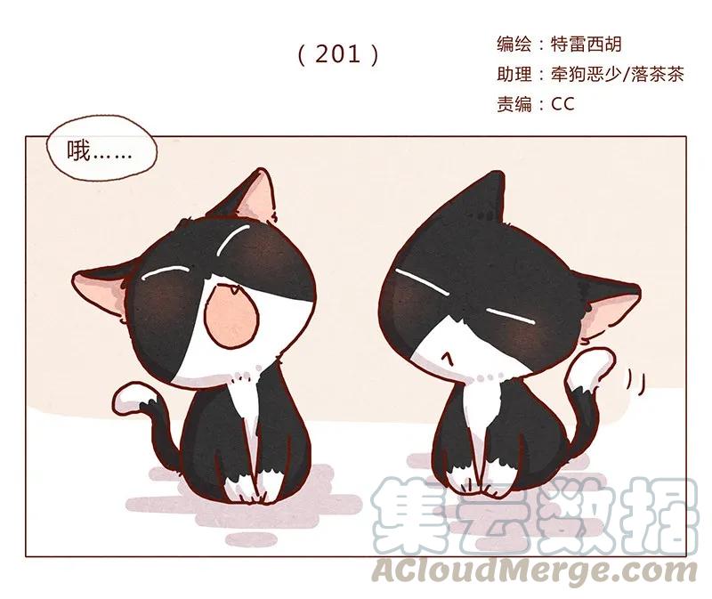 201话领养比买难！-喂，看见耳朵啦-特雷西胡,漫漫漫画（第1张）