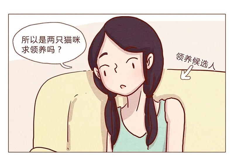 201话领养比买难！-喂，看见耳朵啦-特雷西胡,漫漫漫画（第2张）