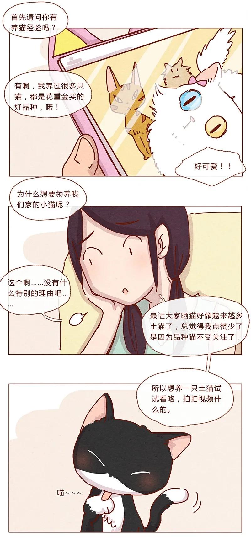 201话领养比买难！-喂，看见耳朵啦-特雷西胡,漫漫漫画（第8张）