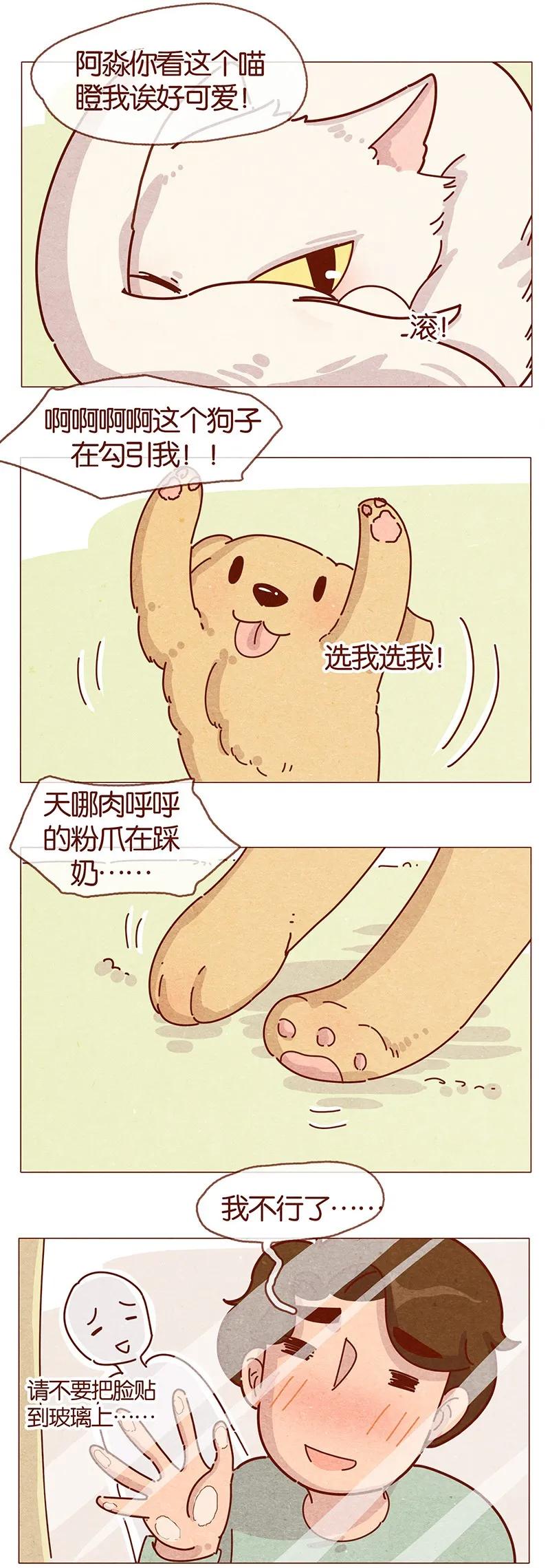 202话领养日好玩吗？-喂，看见耳朵啦-特雷西胡,漫漫漫画（第6张）