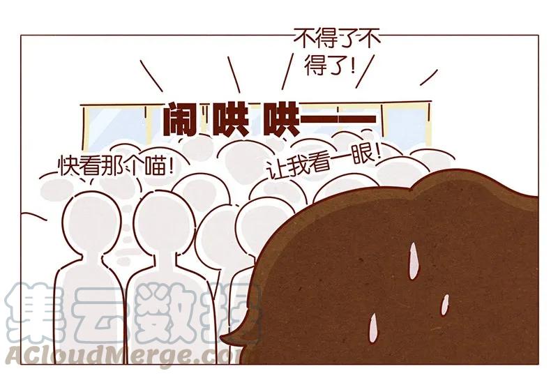 202话领养日好玩吗？-喂，看见耳朵啦-特雷西胡,漫漫漫画（第9张）