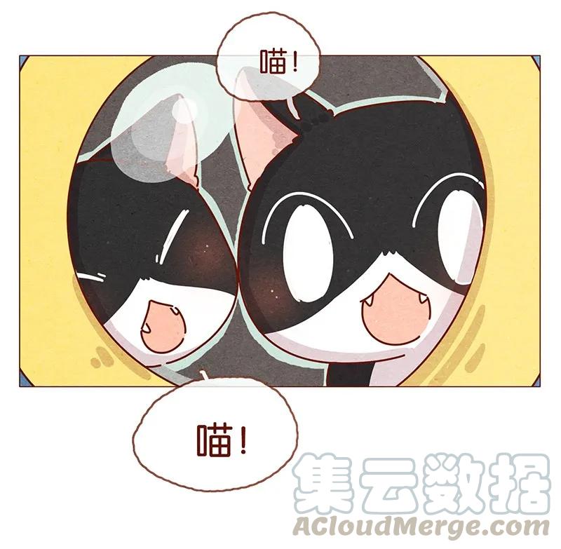 202话领养日好玩吗？-喂，看见耳朵啦-特雷西胡,漫漫漫画（第17张）