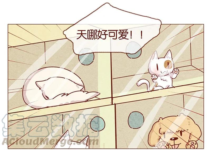 202话领养日好玩吗？-喂，看见耳朵啦-特雷西胡,漫漫漫画（第5张）