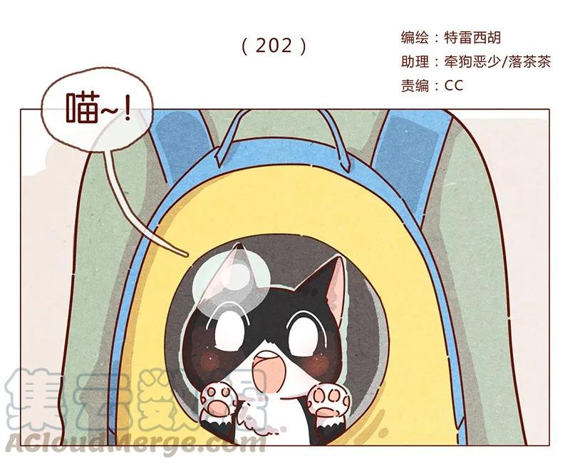 202话领养日好玩吗？-喂，看见耳朵啦-特雷西胡,漫漫漫画（第1张）