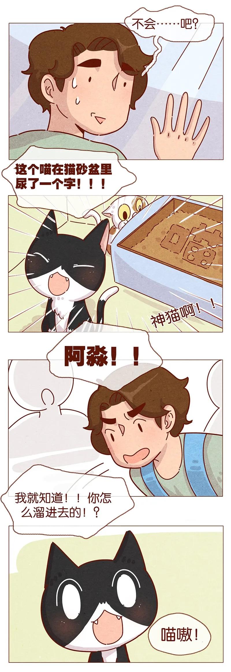 202话领养日好玩吗？-喂，看见耳朵啦-特雷西胡,漫漫漫画（第10张）