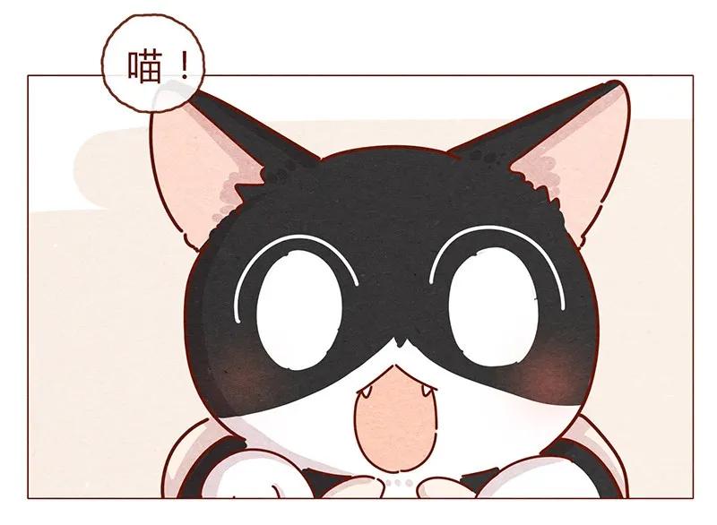203话遇到命中注定的猫猫-喂，看见耳朵啦-特雷西胡,漫漫漫画（第6张）