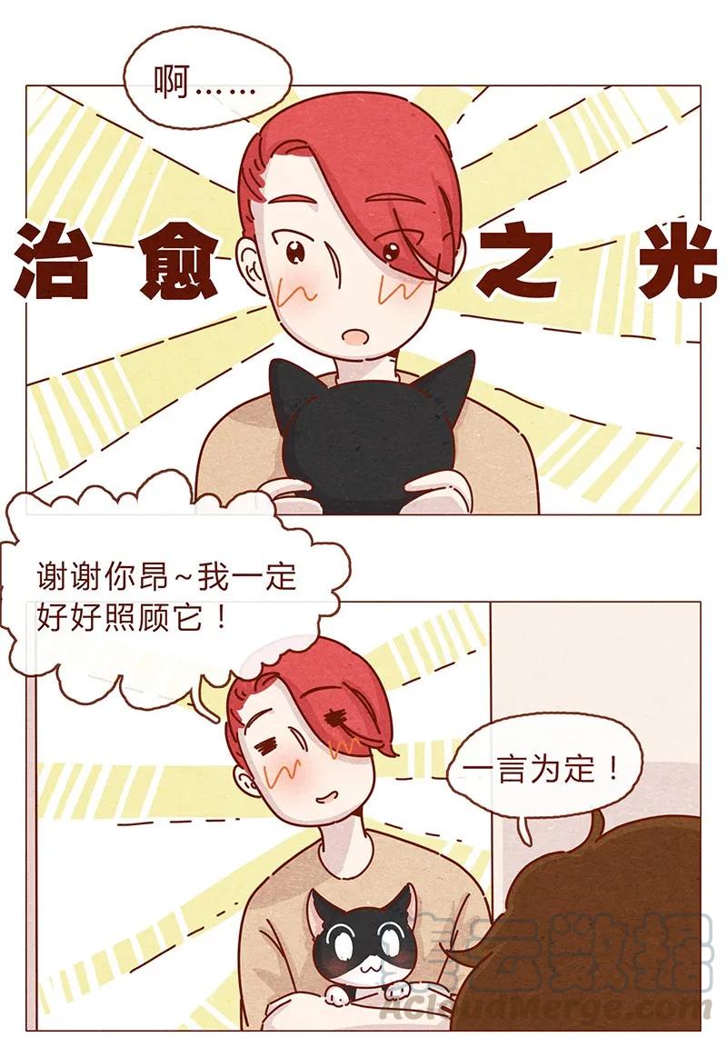 203话遇到命中注定的猫猫-喂，看见耳朵啦-特雷西胡,漫漫漫画（第7张）