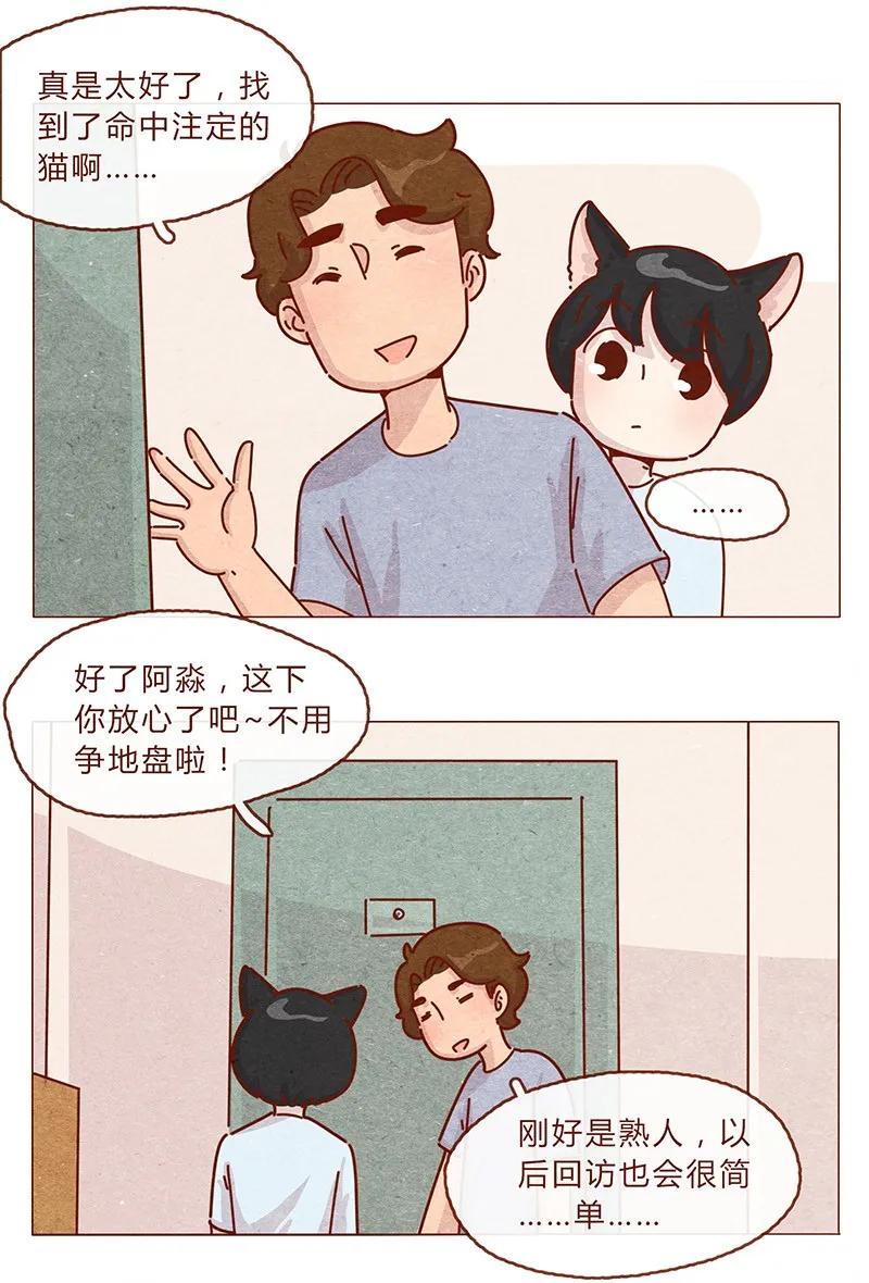 203话遇到命中注定的猫猫-喂，看见耳朵啦-特雷西胡,漫漫漫画（第8张）