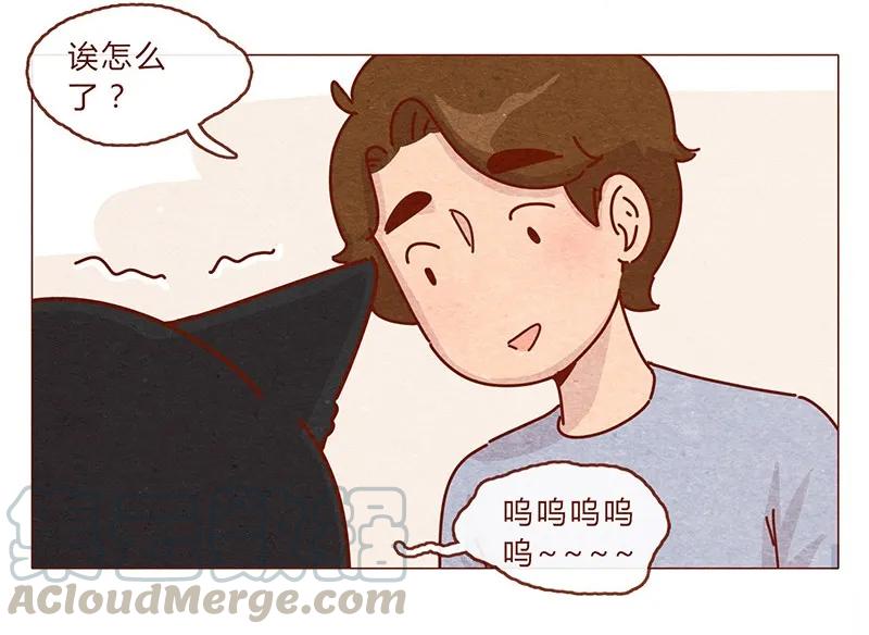 203话遇到命中注定的猫猫-喂，看见耳朵啦-特雷西胡,漫漫漫画（第9张）