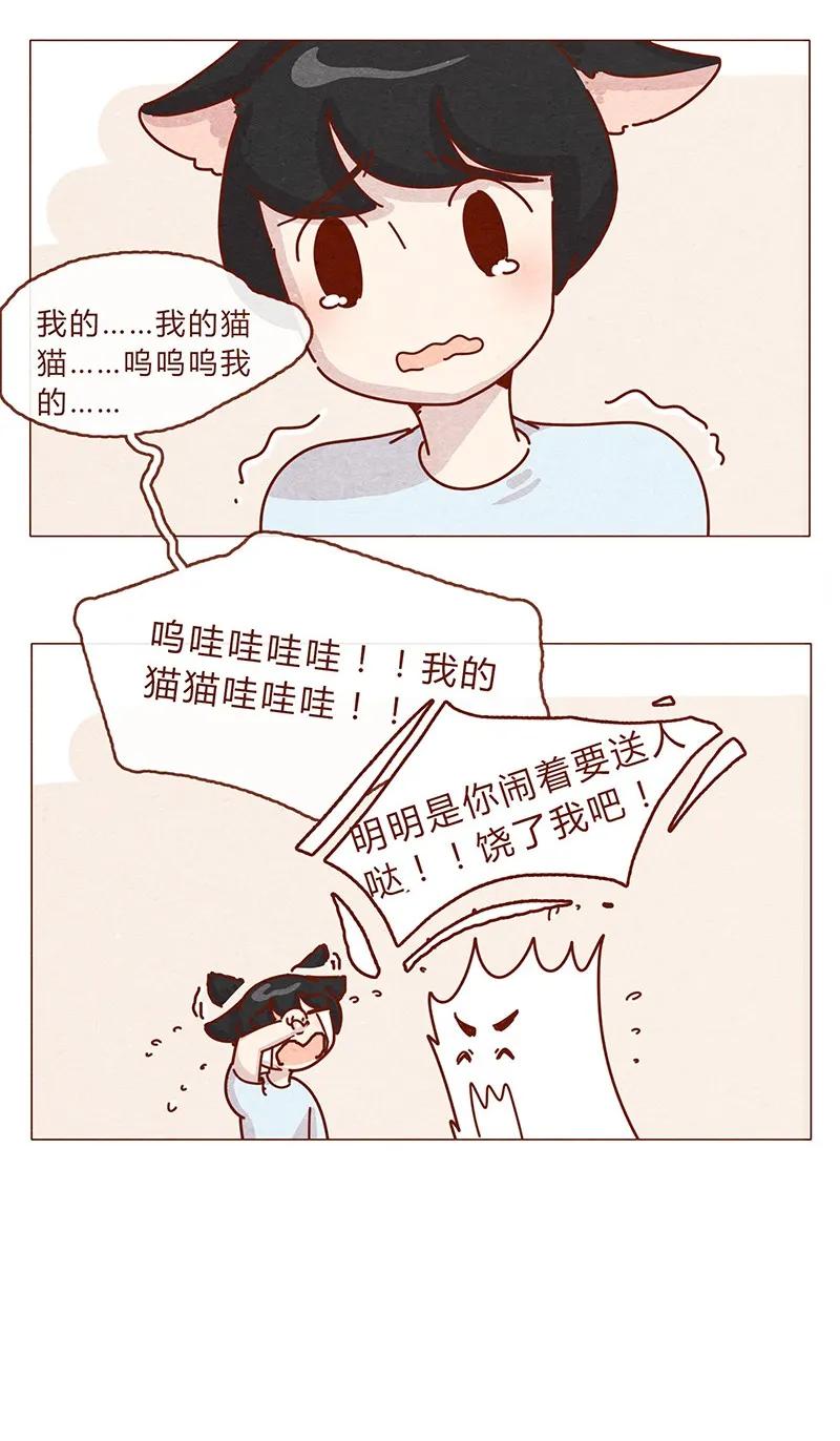 203话遇到命中注定的猫猫-喂，看见耳朵啦-特雷西胡,漫漫漫画（第10张）
