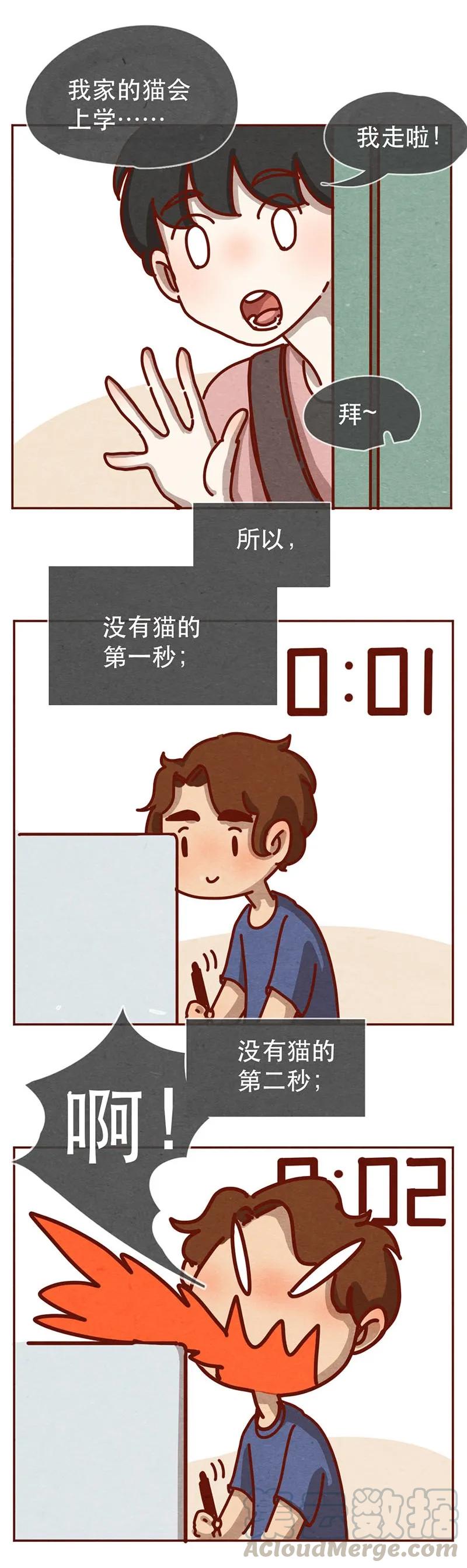 213话理想与现实的差距-喂，看见耳朵啦-特雷西胡,漫漫漫画（第7张）