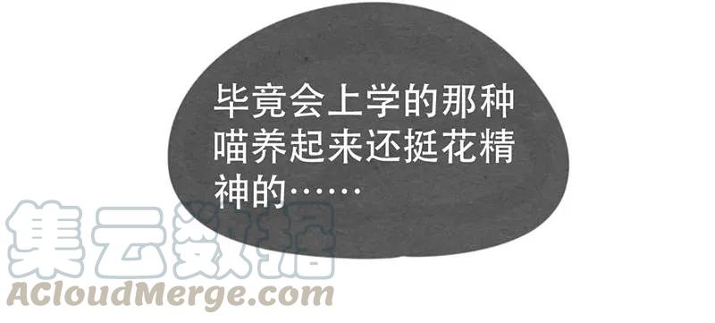 213话理想与现实的差距-喂，看见耳朵啦-特雷西胡,漫漫漫画（第9张）