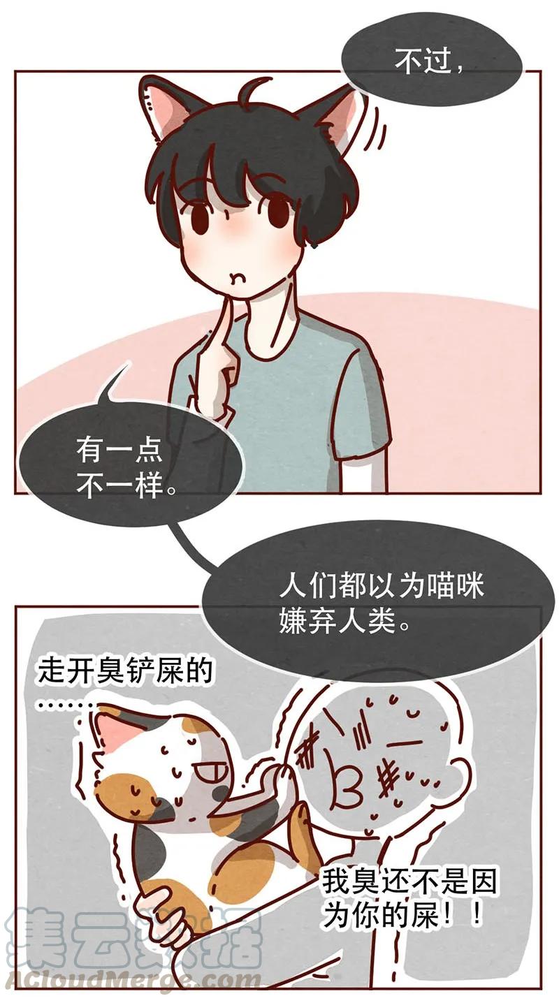 214话你居然敢外遇！！-喂，看见耳朵啦-特雷西胡,漫漫漫画（第3张）