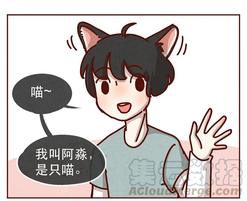 214话你居然敢外遇！！-喂，看见耳朵啦-特雷西胡,漫漫漫画（第1张）