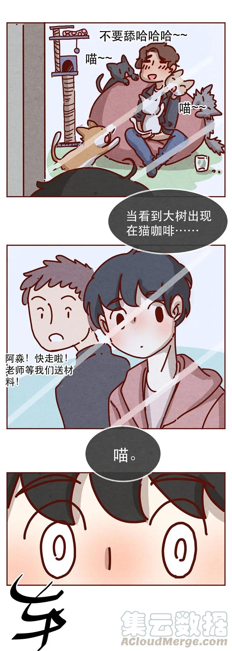 214话你居然敢外遇！！-喂，看见耳朵啦-特雷西胡,漫漫漫画（第7张）