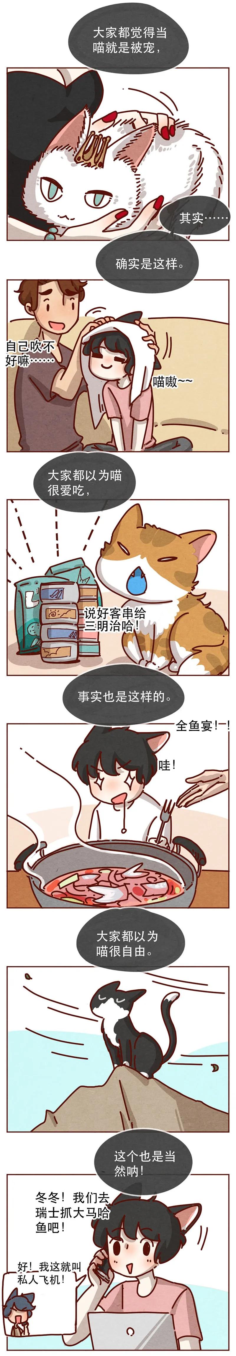 214话你居然敢外遇！！-喂，看见耳朵啦-特雷西胡,漫漫漫画（第2张）