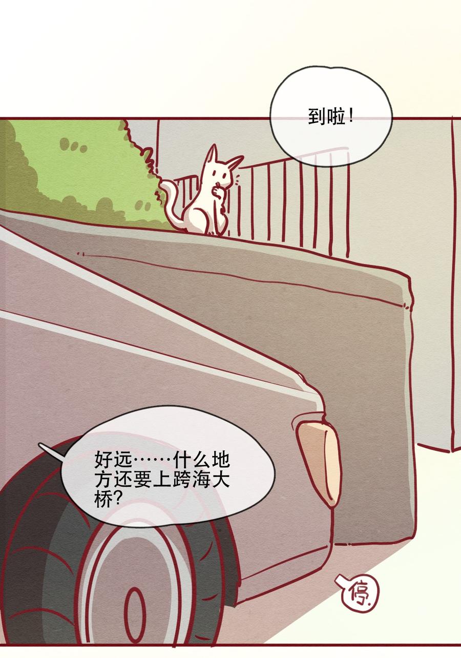 237话学渣的本愿（4）-喂，看见耳朵啦-特雷西胡,漫漫漫画（第4张）