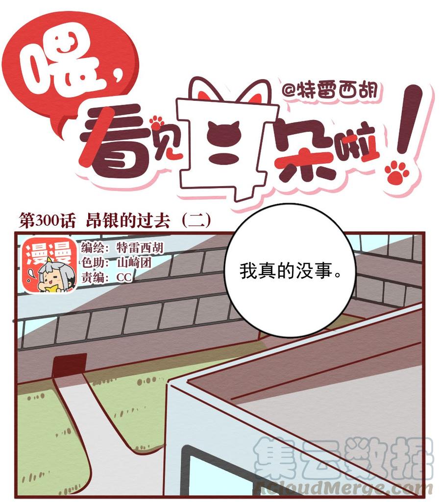 300话昂银的过去（二）-喂，看见耳朵啦-特雷西胡,漫漫漫画（第1张）