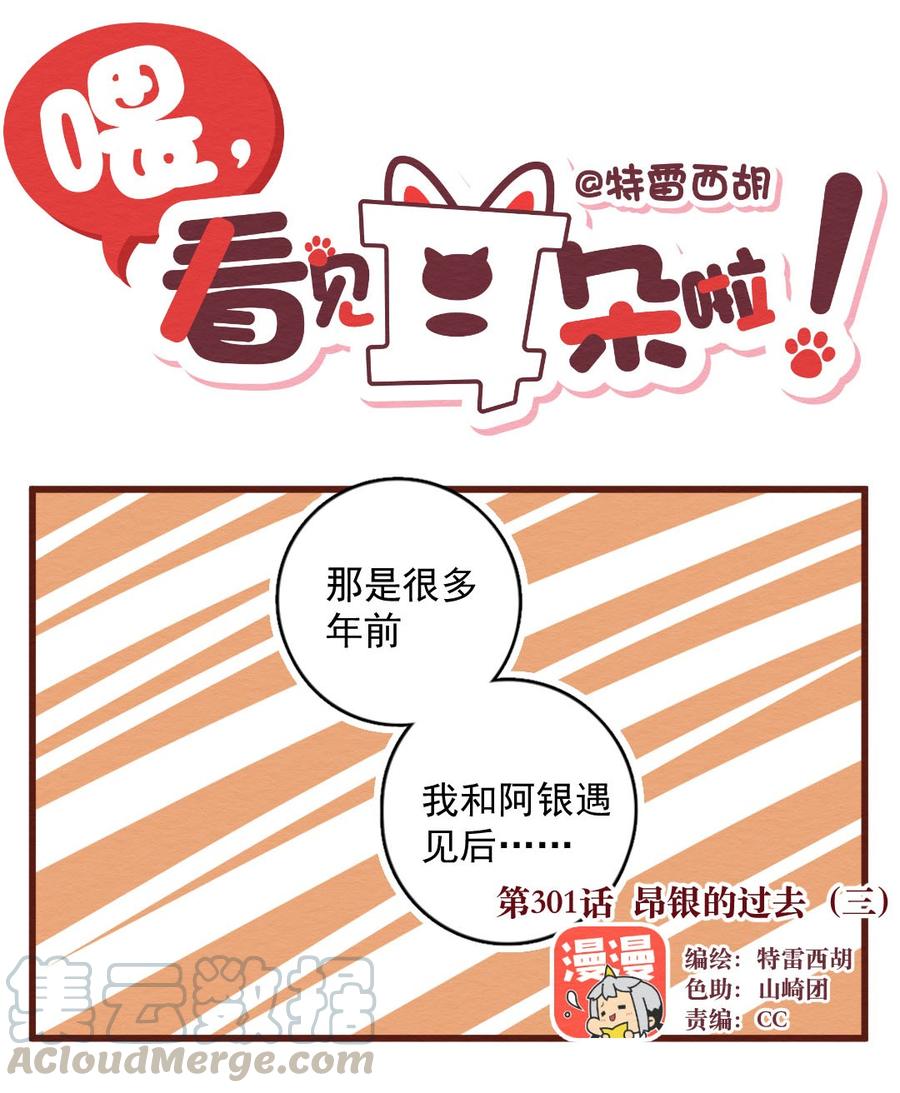 301话昂银的过去（三）-喂，看见耳朵啦-特雷西胡,漫漫漫画（第1张）