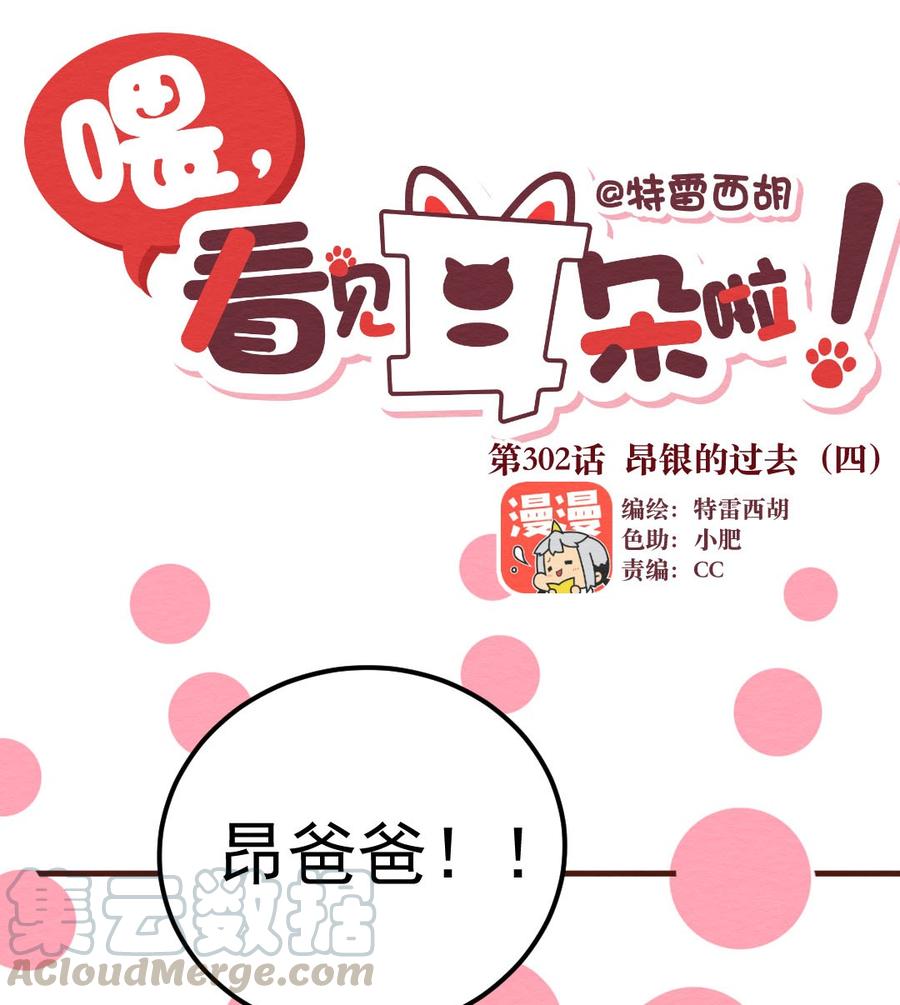 302话昂银的过去(四）-喂，看见耳朵啦-特雷西胡,漫漫漫画（第1张）