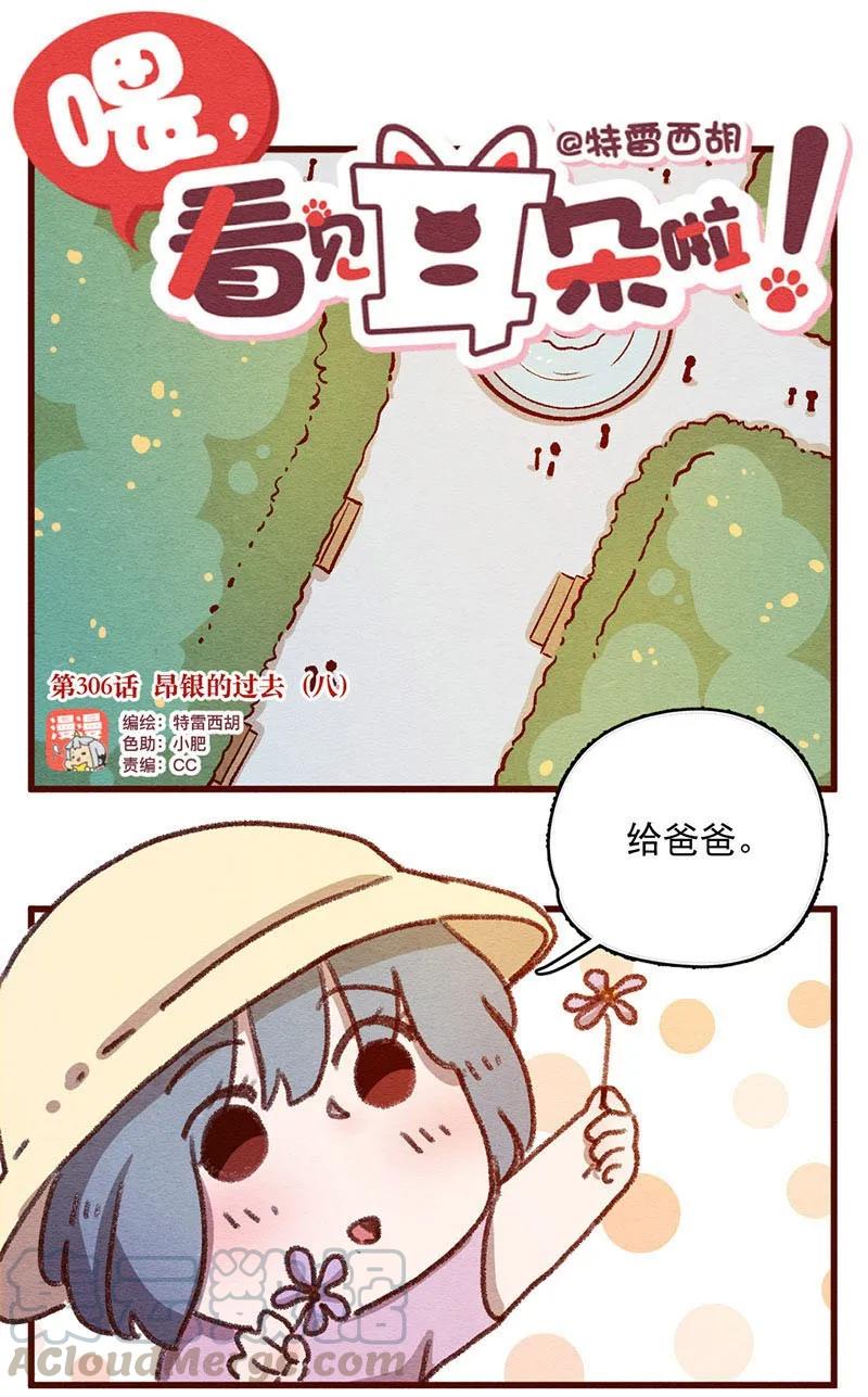 306话昂银的过去（八）-喂，看见耳朵啦-特雷西胡,漫漫漫画（第1张）