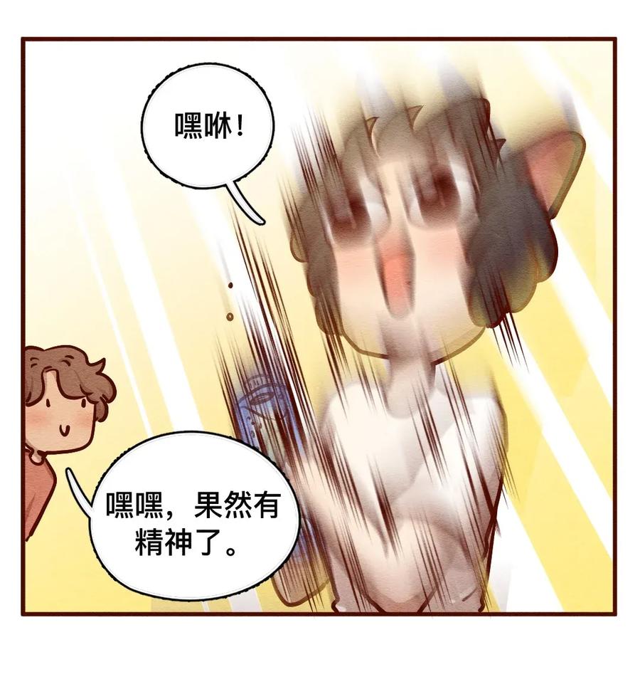308话消暑大法（一）-喂，看见耳朵啦-特雷西胡,漫漫漫画（第11张）