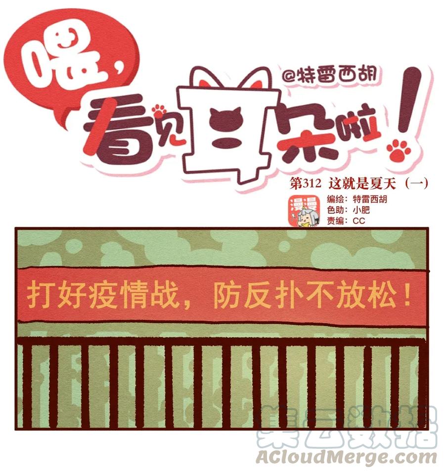 312话这就是夏天（一）-喂，看见耳朵啦-特雷西胡,漫漫漫画（第1张）