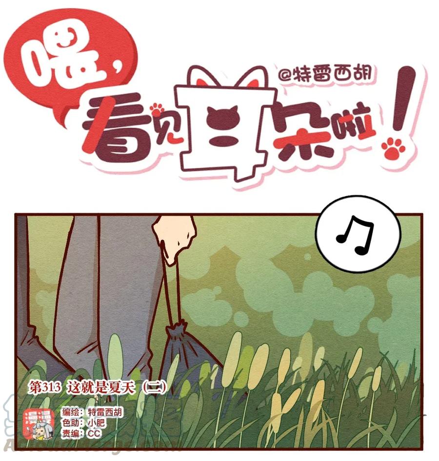 313这就是夏天（二）-喂，看见耳朵啦-特雷西胡,漫漫漫画（第1张）