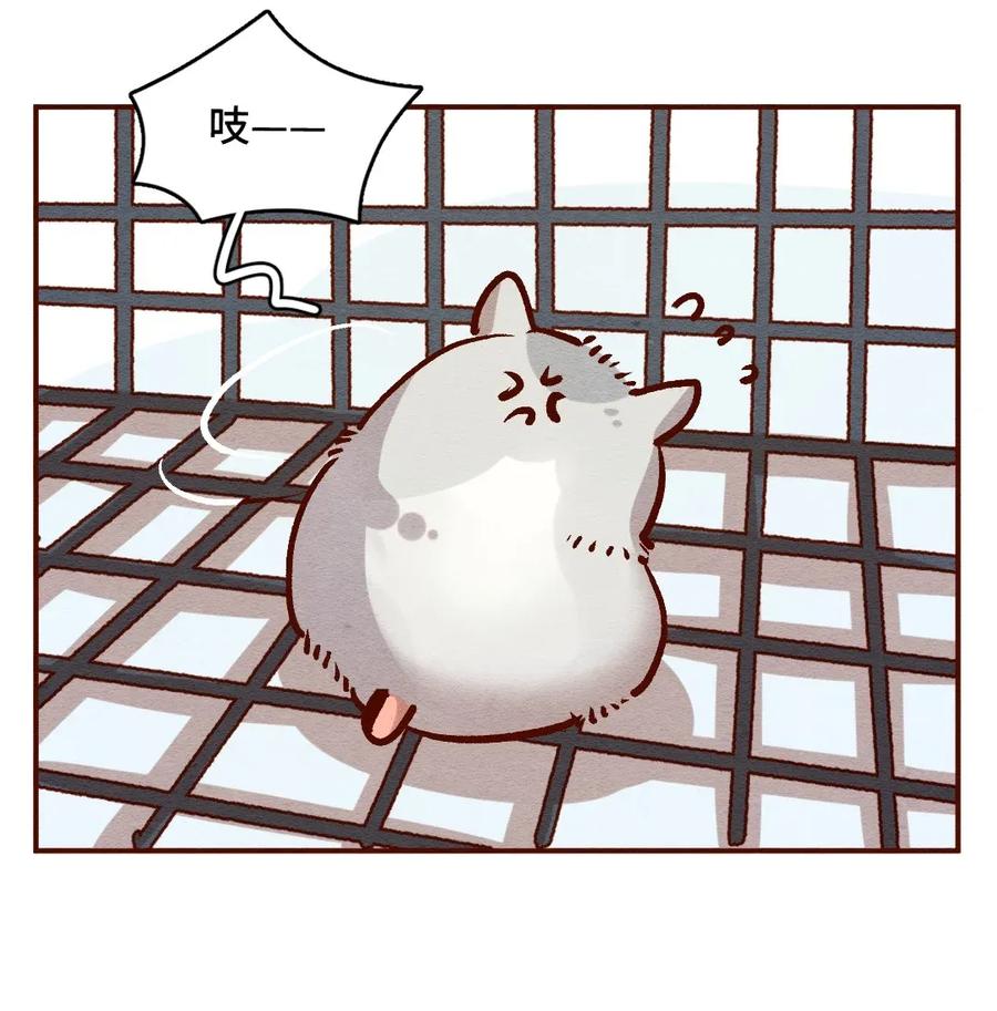 315话孤立危机-喂，看见耳朵啦-特雷西胡,漫漫漫画（第11张）