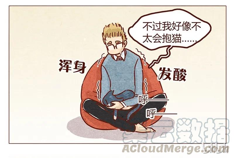 第50话呼噜呼噜-喂，看见耳朵啦-特雷西胡,漫漫漫画（第13张）