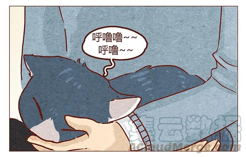 第50话呼噜呼噜-喂，看见耳朵啦-特雷西胡,漫漫漫画（第11张）