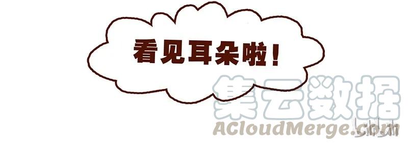 第66话摘掉帽子吧！-喂，看见耳朵啦-特雷西胡,漫漫漫画（第17张）