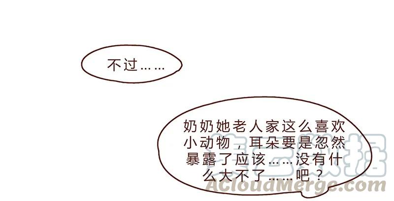 第71话回家见奶奶-喂，看见耳朵啦-特雷西胡,漫漫漫画（第17张）