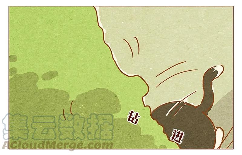 第77话人类好可怕-喂，看见耳朵啦-特雷西胡,漫漫漫画（第5张）