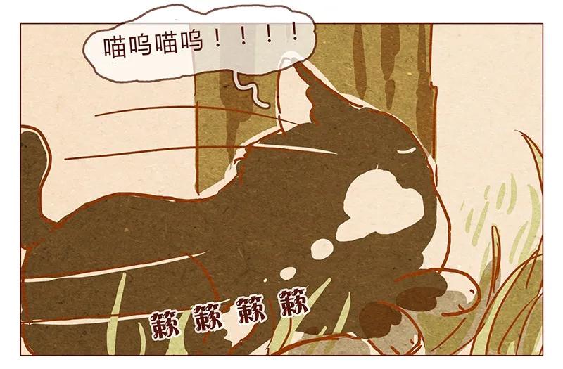 第78话人类也有不坏的么？-喂，看见耳朵啦-特雷西胡,漫漫漫画（第4张）