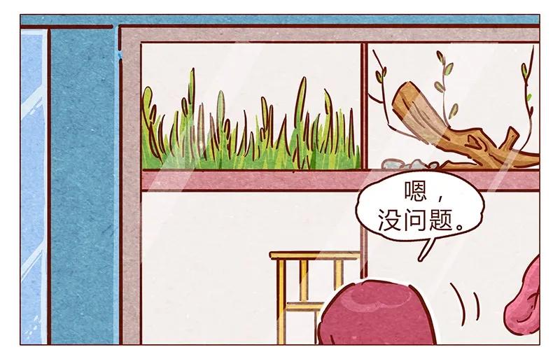 第86话熟悉的小耗子-喂，看见耳朵啦-特雷西胡,漫漫漫画（第2张）