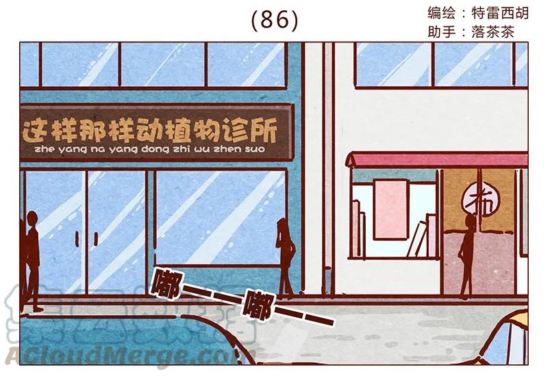 第86话熟悉的小耗子-喂，看见耳朵啦-特雷西胡,漫漫漫画（第1张）