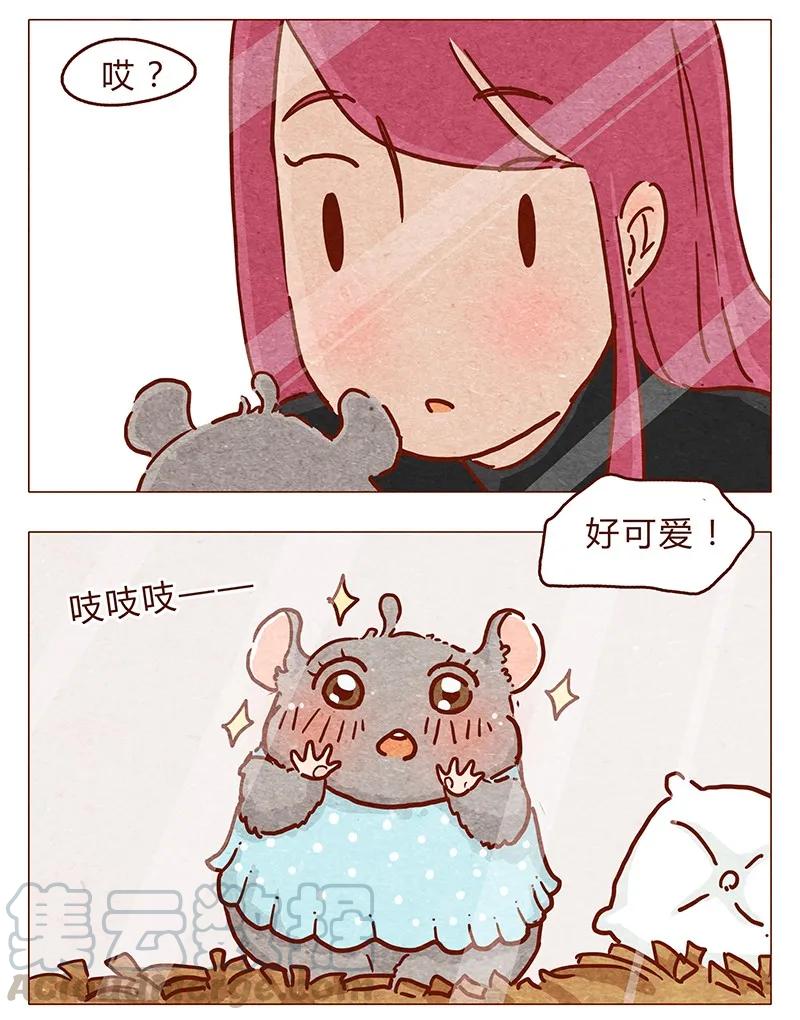 第86话熟悉的小耗子-喂，看见耳朵啦-特雷西胡,漫漫漫画（第5张）