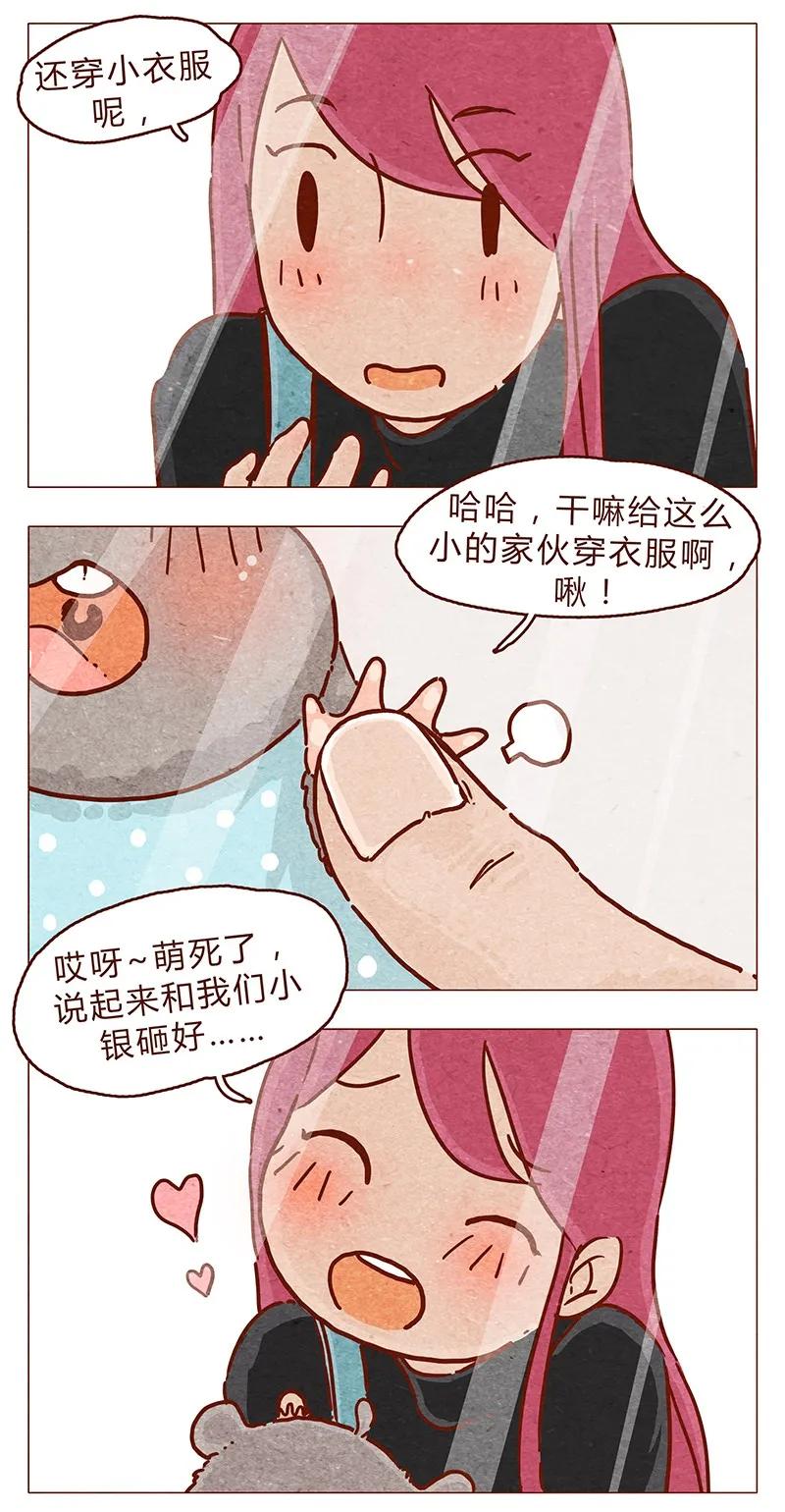 第86话熟悉的小耗子-喂，看见耳朵啦-特雷西胡,漫漫漫画（第6张）