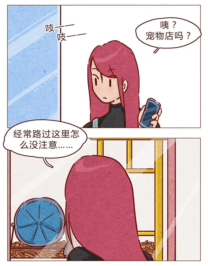 第86话熟悉的小耗子-喂，看见耳朵啦-特雷西胡,漫漫漫画（第4张）