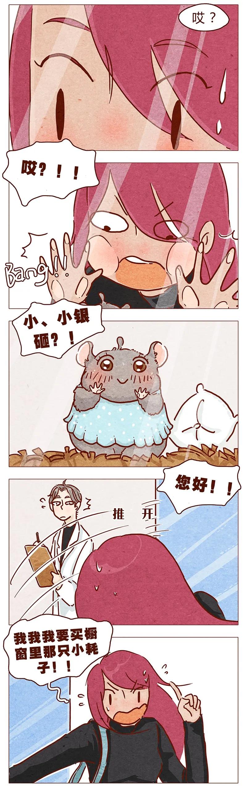 第86话熟悉的小耗子-喂，看见耳朵啦-特雷西胡,漫漫漫画（第8张）