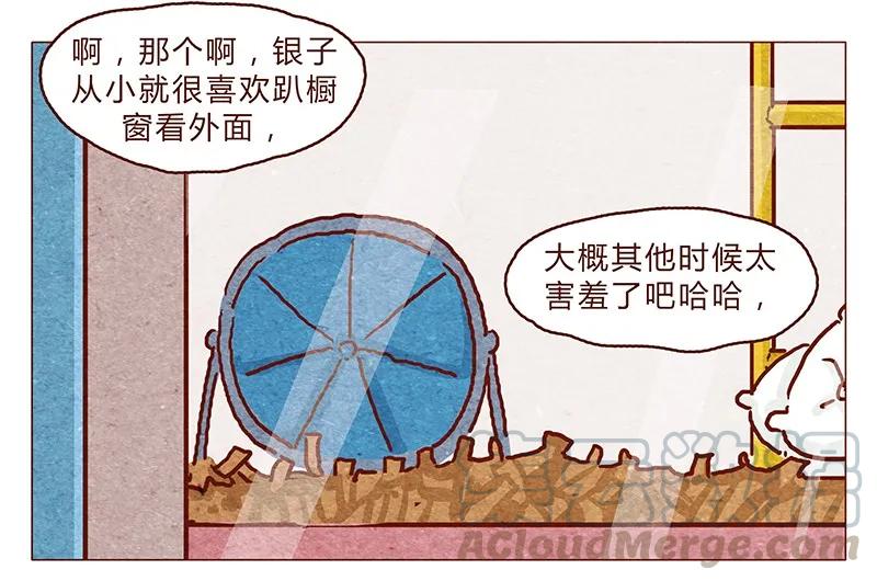 第88话我爸爸是人类哦-喂，看见耳朵啦-特雷西胡,漫漫漫画（第3张）